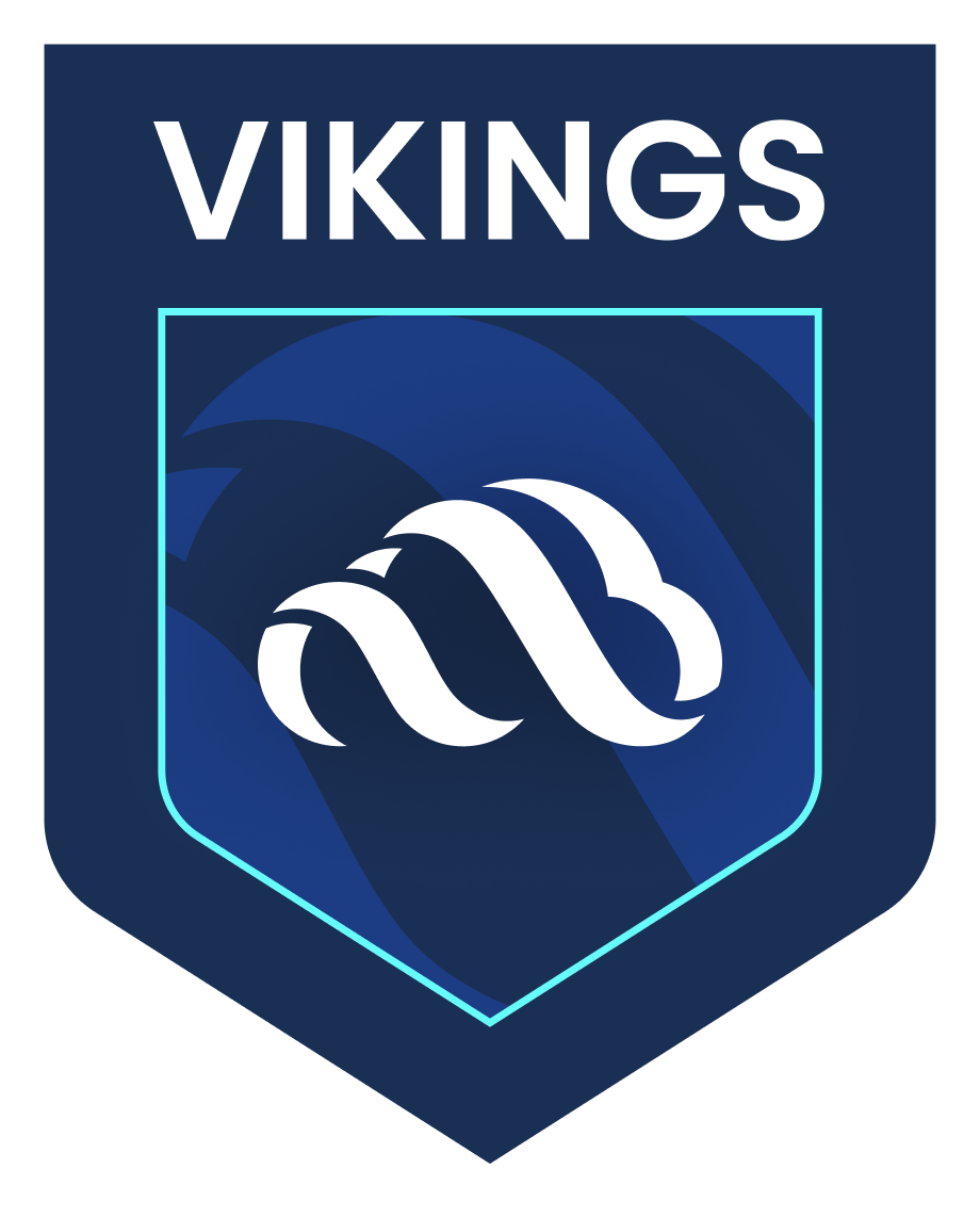 VikingCloud